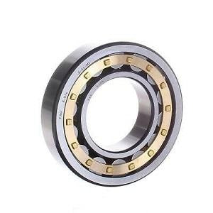 FAG (Schaeffler) NU1032-XL-M1 Cylindrical Roller Bearing - NEEP