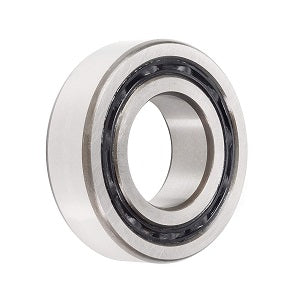 FAG (Schaeffler) 4313-B-TVH Deep Groove Ball Bearing - NEEP