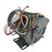 Imperial Electric Motor P055DJP1668 - neeep.com