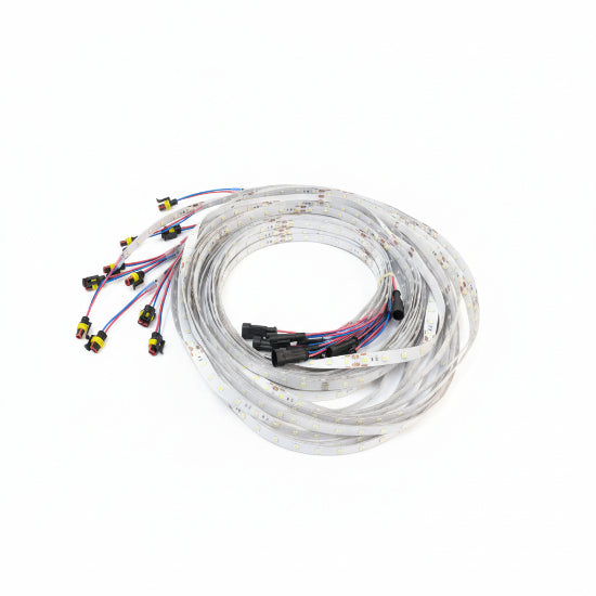 LED Band (White 7000~10000K) TGGD-RW12 - neeep.com